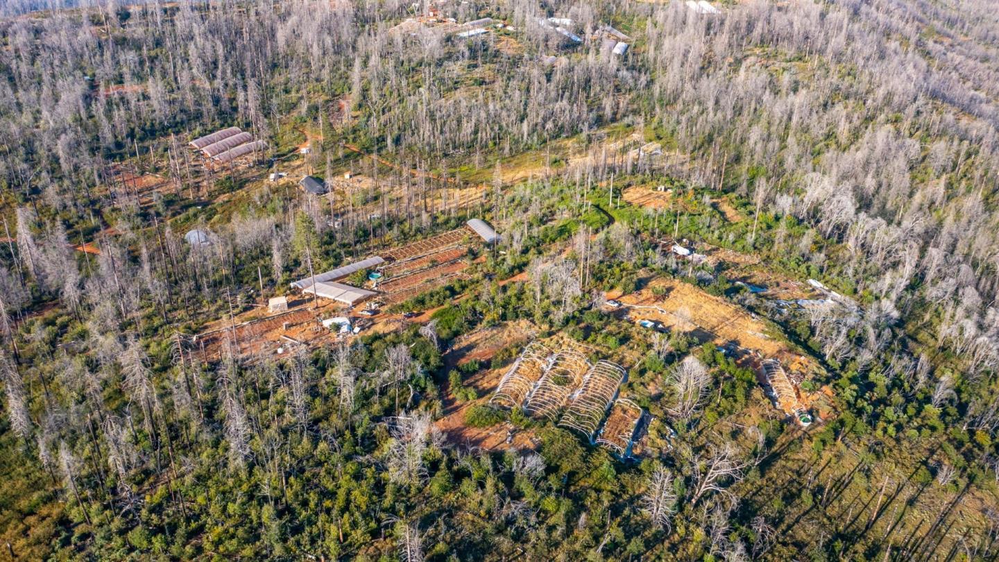 Detail Gallery Image 8 of 20 For 175 Bonnie Meadow Ln, Berry Creek,  CA 95916 - – Beds | – Baths