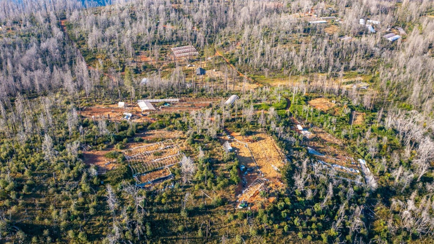 Detail Gallery Image 9 of 20 For 175 Bonnie Meadow Ln, Berry Creek,  CA 95916 - – Beds | – Baths