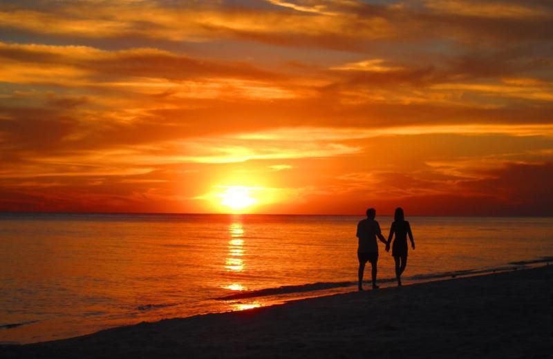 Detail Gallery Image 45 of 45 For 538 Cuesta Dr, Aptos,  CA 95003 - 4 Beds | 3 Baths