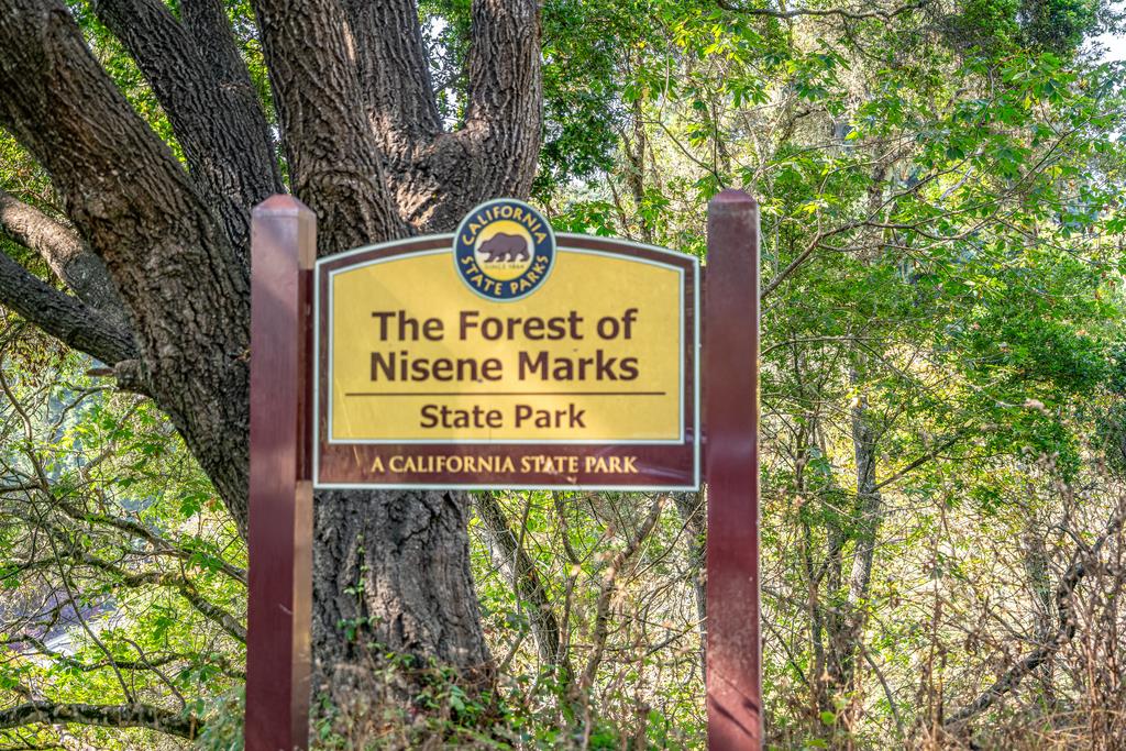 Detail Gallery Image 21 of 30 For 900 Mesa Grande Rd, Aptos,  CA 95003 - 2 Beds | 1 Baths