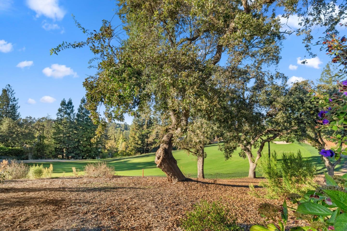 Detail Gallery Image 20 of 45 For 416 Sand Hill Cir, Menlo Park,  CA 94025 - 3 Beds | 2/1 Baths