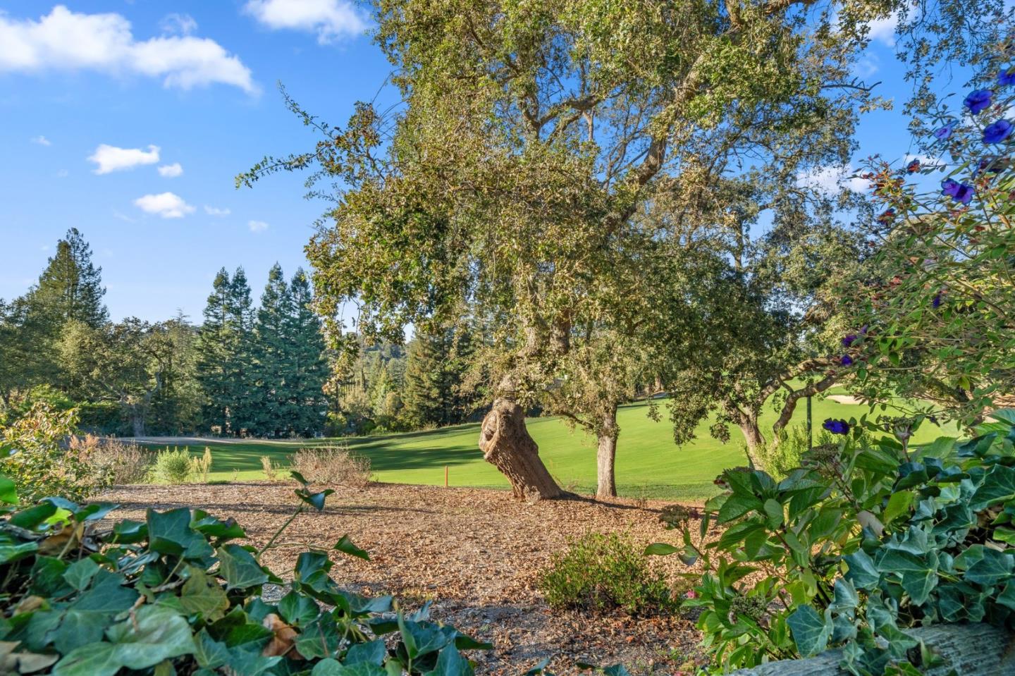 Detail Gallery Image 38 of 45 For 416 Sand Hill Cir, Menlo Park,  CA 94025 - 3 Beds | 2/1 Baths