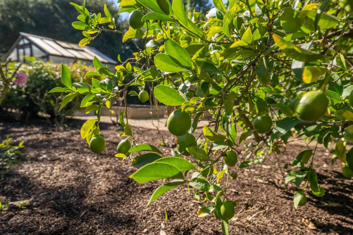 Detail Gallery Image 74 of 81 For 1523 Ashcroft Way, Sunnyvale,  CA 94087 - 6 Beds | 4/1 Baths