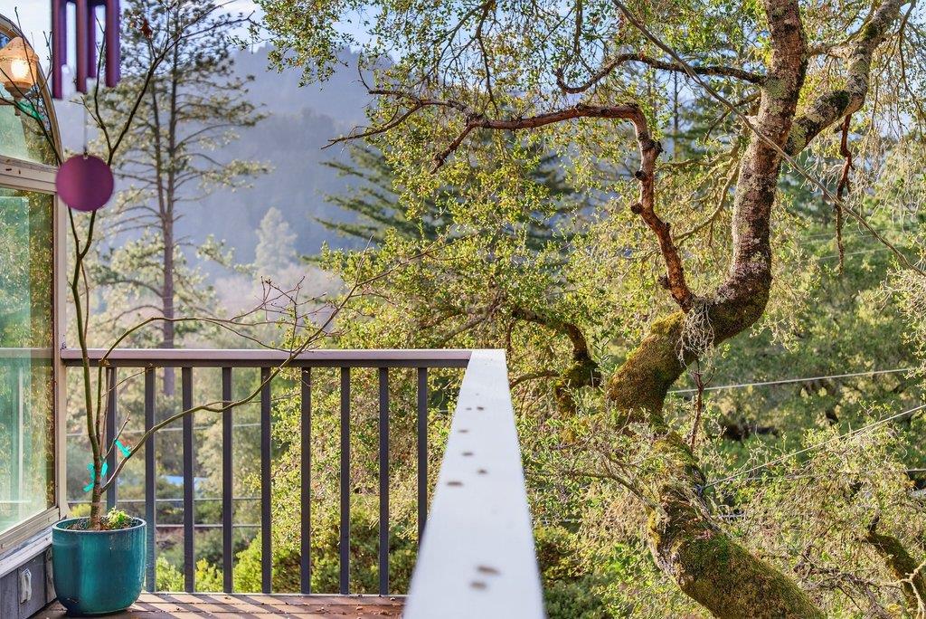 Detail Gallery Image 42 of 60 For 2203 Quail Hollow Rd, Ben Lomond,  CA 95005 - 3 Beds | 2/1 Baths