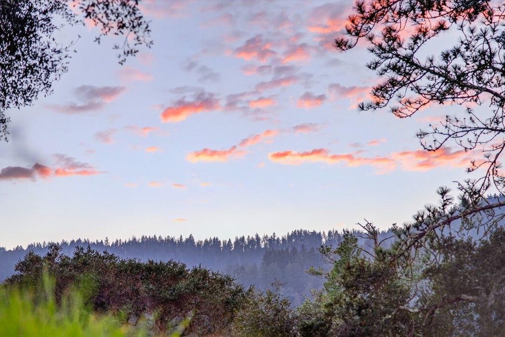 Detail Gallery Image 59 of 60 For 2203 Quail Hollow Rd, Ben Lomond,  CA 95005 - 3 Beds | 2/1 Baths