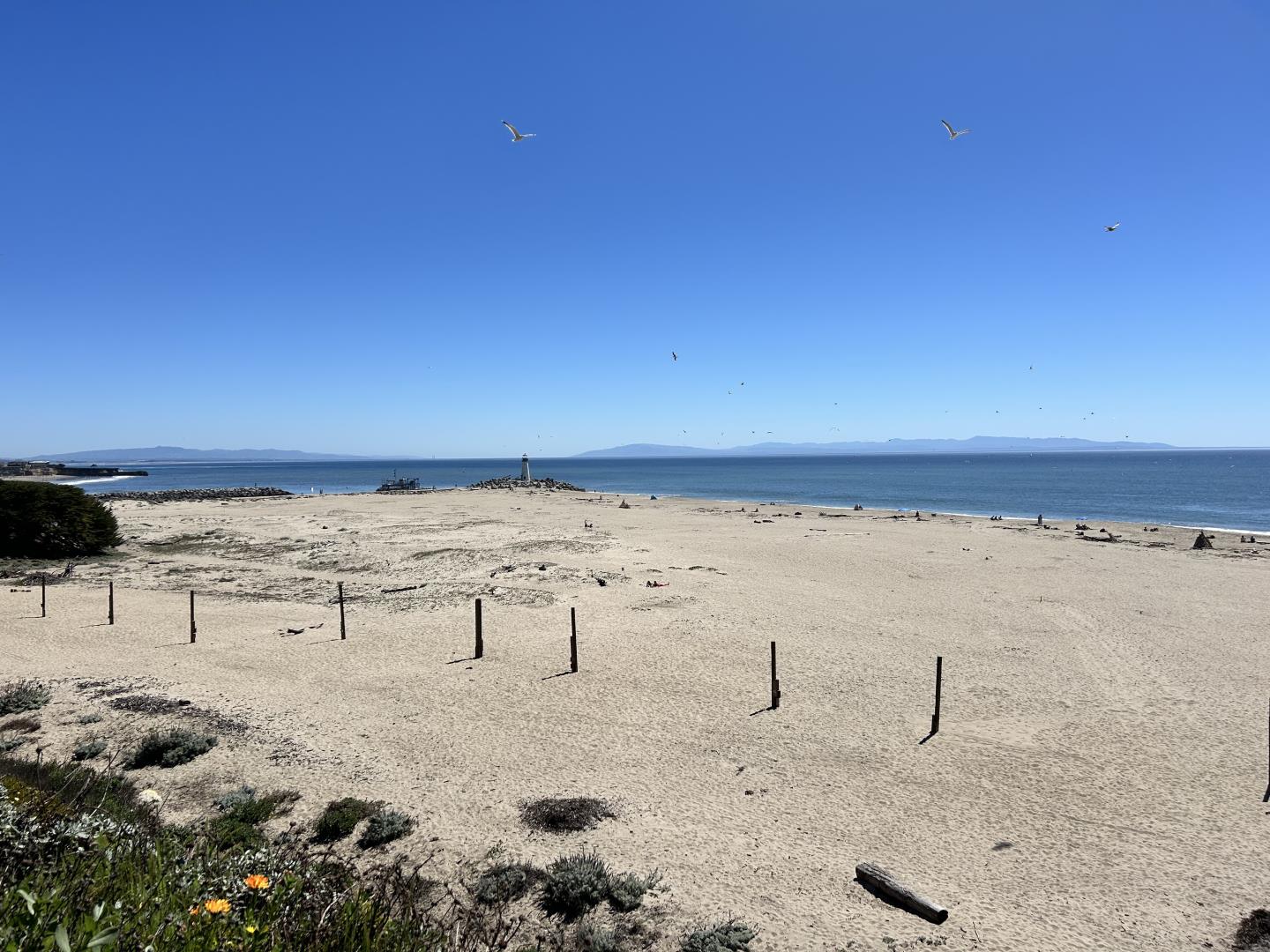 Detail Gallery Image 39 of 44 For 211 2nd Ave, Santa Cruz,  CA 95062 - 3 Beds | 1/1 Baths