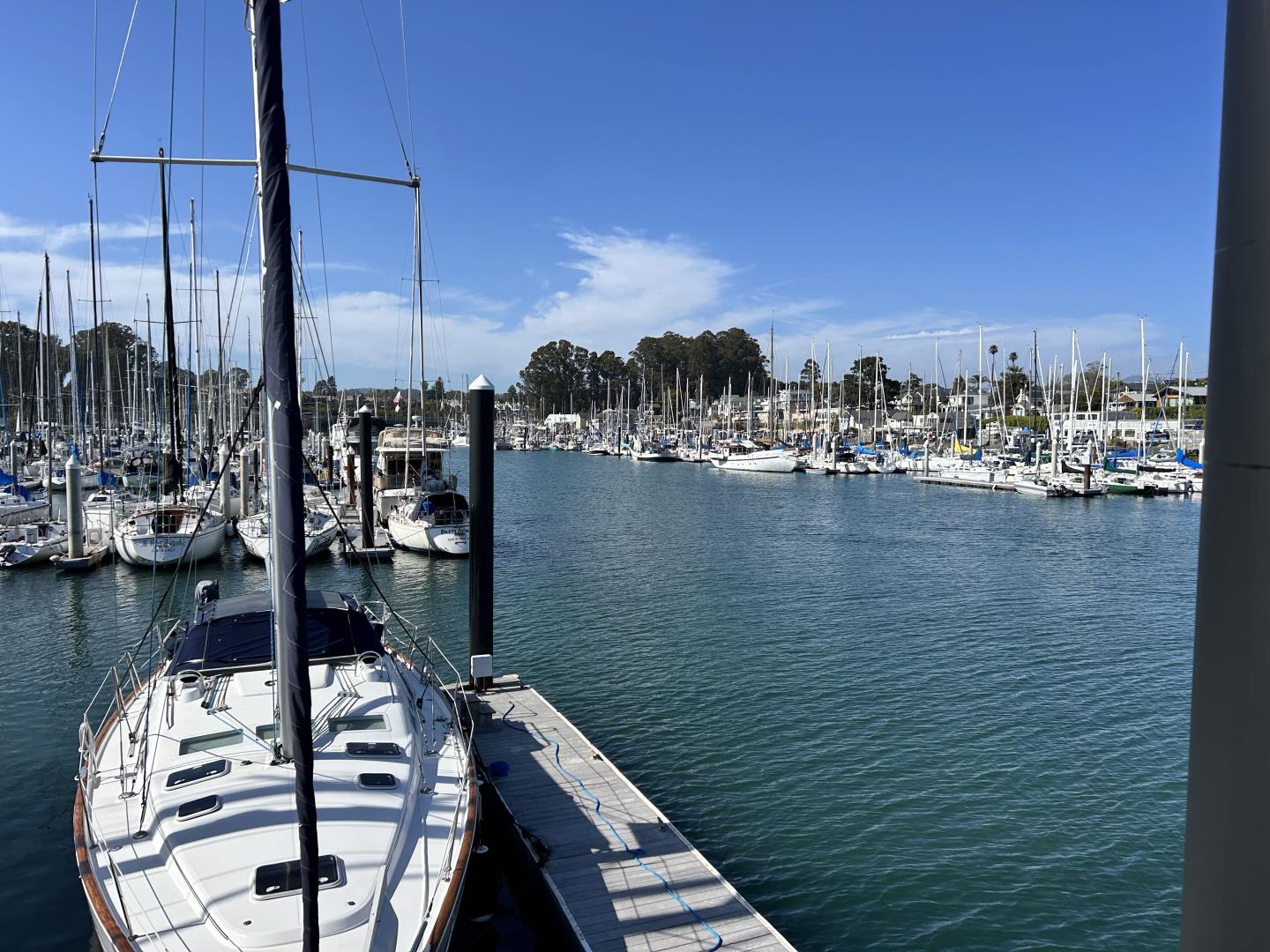 Detail Gallery Image 42 of 44 For 211 2nd Ave, Santa Cruz,  CA 95062 - 3 Beds | 1/1 Baths