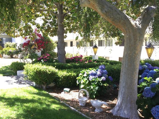 Detail Gallery Image 10 of 31 For 500 Glenwood Cir #125,  Monterey,  CA 93940 - 1 Beds | 1 Baths