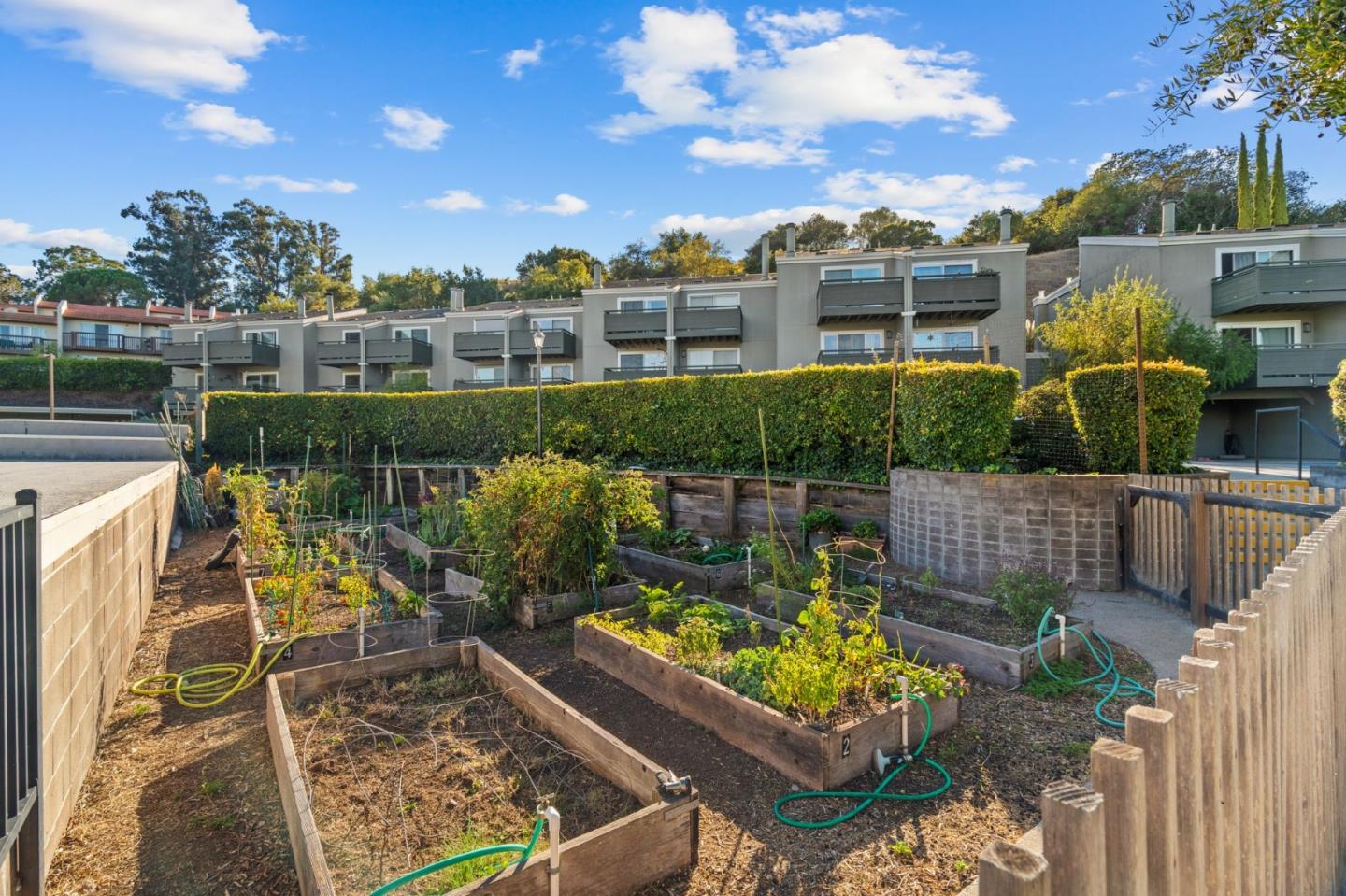 Detail Gallery Image 27 of 32 For 4000 Farm Hill Blvd #204,  Redwood City,  CA 94061 - 3 Beds | 2 Baths