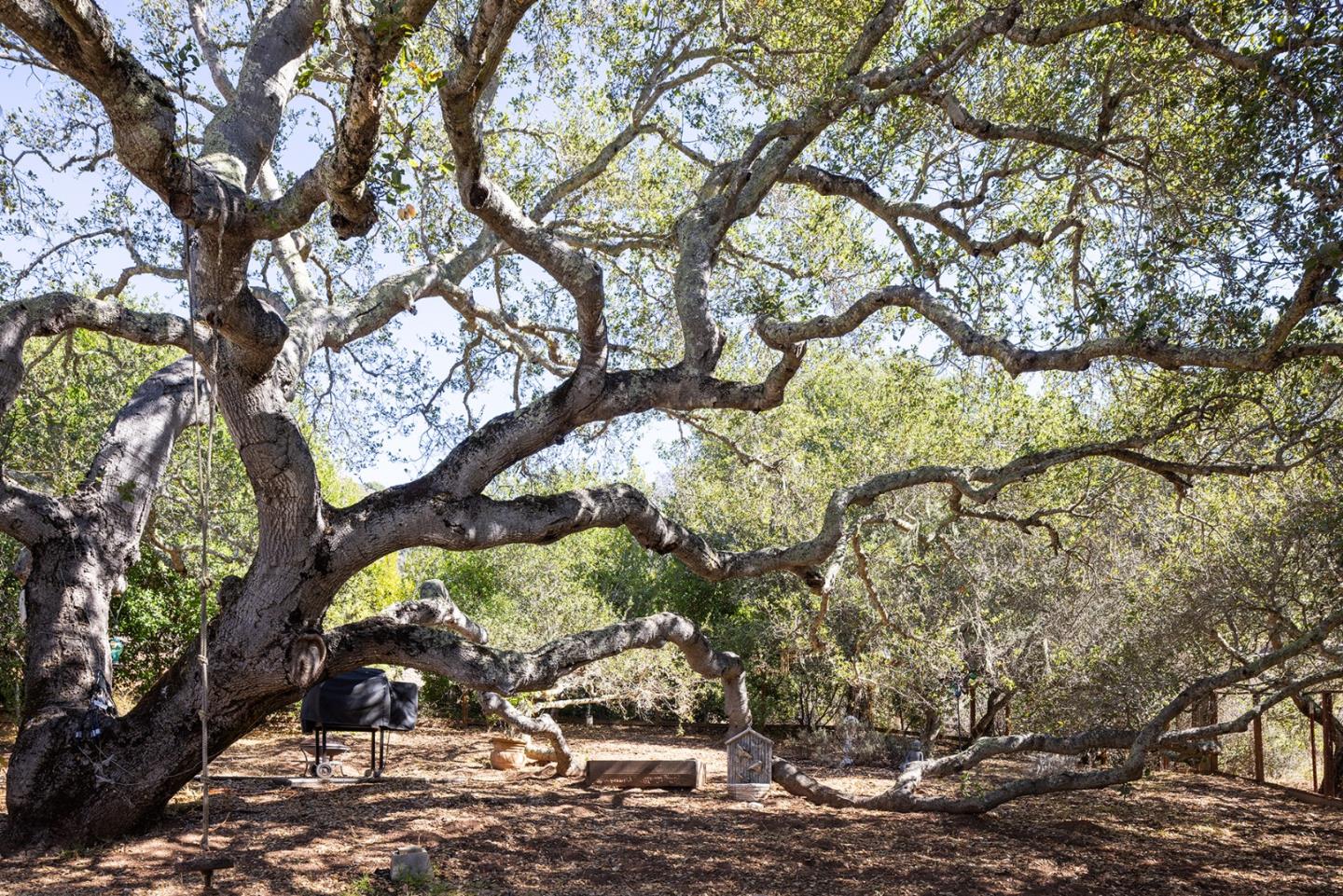 Detail Gallery Image 24 of 25 For 20 Marquard Rd, Carmel Valley,  CA 93924 - 4 Beds | 3 Baths