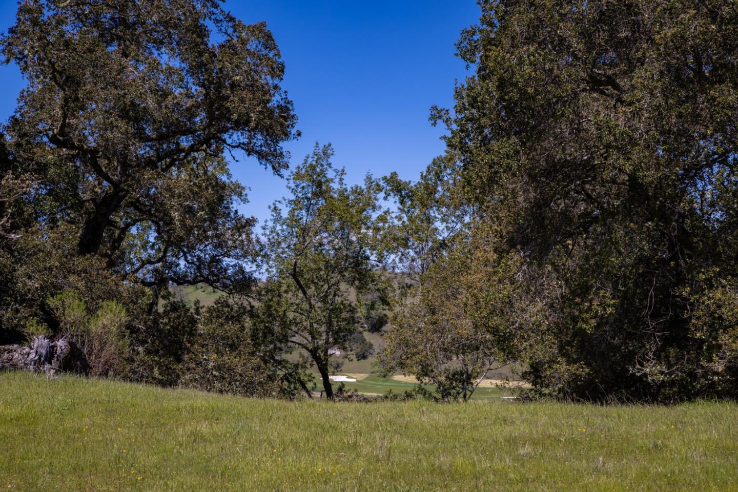 Detail Gallery Image 6 of 24 For 29 Arroyo Sequoia, Carmel,  CA 93923 - – Beds | – Baths