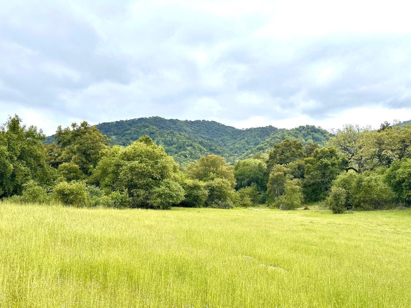 Detail Gallery Image 9 of 24 For 29 Arroyo Sequoia, Carmel,  CA 93923 - – Beds | – Baths