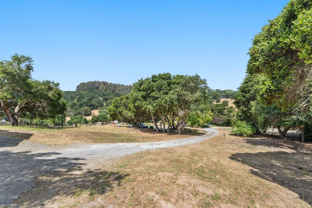 Detail Gallery Image 39 of 63 For 2077 San Juan Rd, Aromas,  CA 95004 - – Beds | – Baths