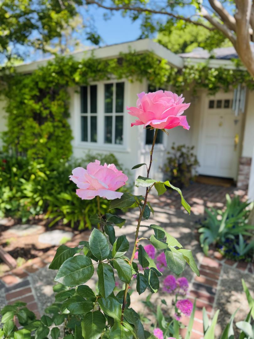 Detail Gallery Image 18 of 65 For 1023 Mercedes Ave, Los Altos,  CA 94022 - 4 Beds | 3 Baths