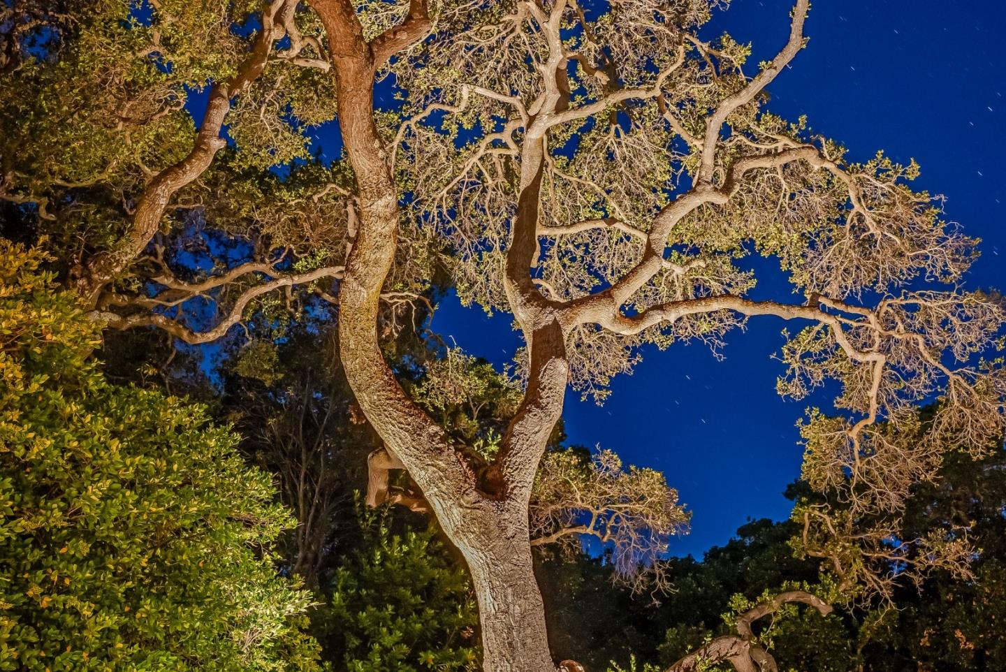 Detail Gallery Image 63 of 64 For 23423 Toyonita Rd, Los Altos Hills,  CA 94024 - 5 Beds | 4/1 Baths