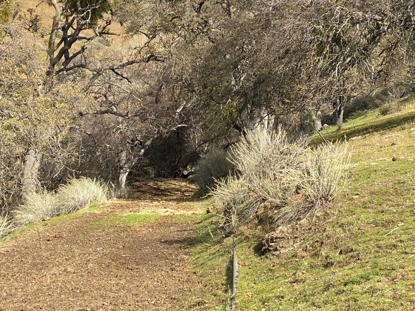 Detail Gallery Image 23 of 33 For 19967 Panoche Rd, Paicines,  CA 95043 - – Beds | – Baths
