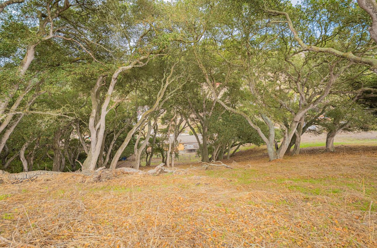 Detail Gallery Image 15 of 20 For 15108 Castroville Blvd, Castroville,  CA 95012 - 6 Beds | 3 Baths