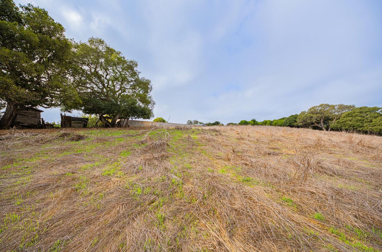 Detail Gallery Image 18 of 20 For 15108 Castroville Blvd, Castroville,  CA 95012 - 6 Beds | 3 Baths