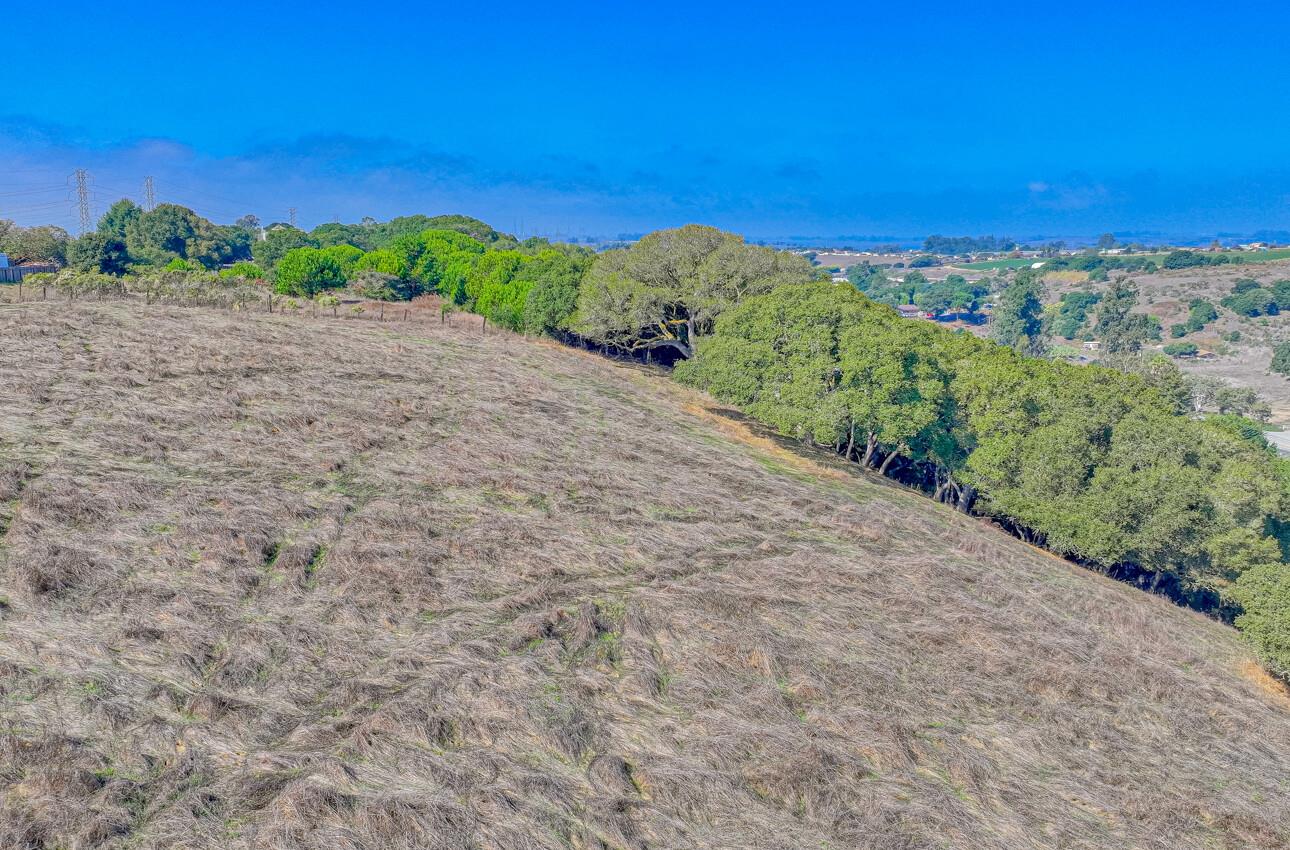 Detail Gallery Image 6 of 20 For 15108 Castroville Blvd, Castroville,  CA 95012 - 6 Beds | 3 Baths