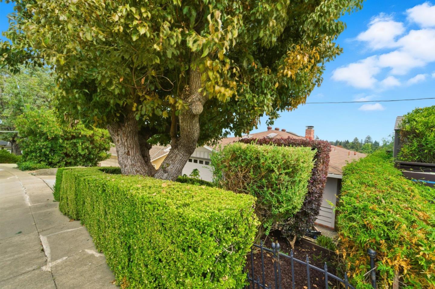 Detail Gallery Image 3 of 42 For 329 Oakview Dr, San Carlos,  CA 94070 - 4 Beds | 3 Baths