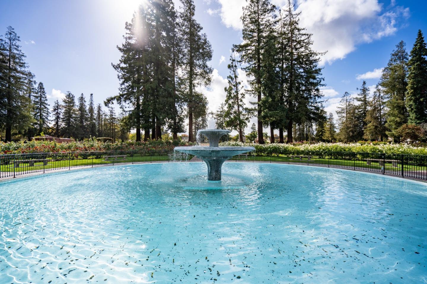 Detail Gallery Image 101 of 101 For 2177 Emory St, San Jose,  CA 95128 - 3 Beds | 2 Baths