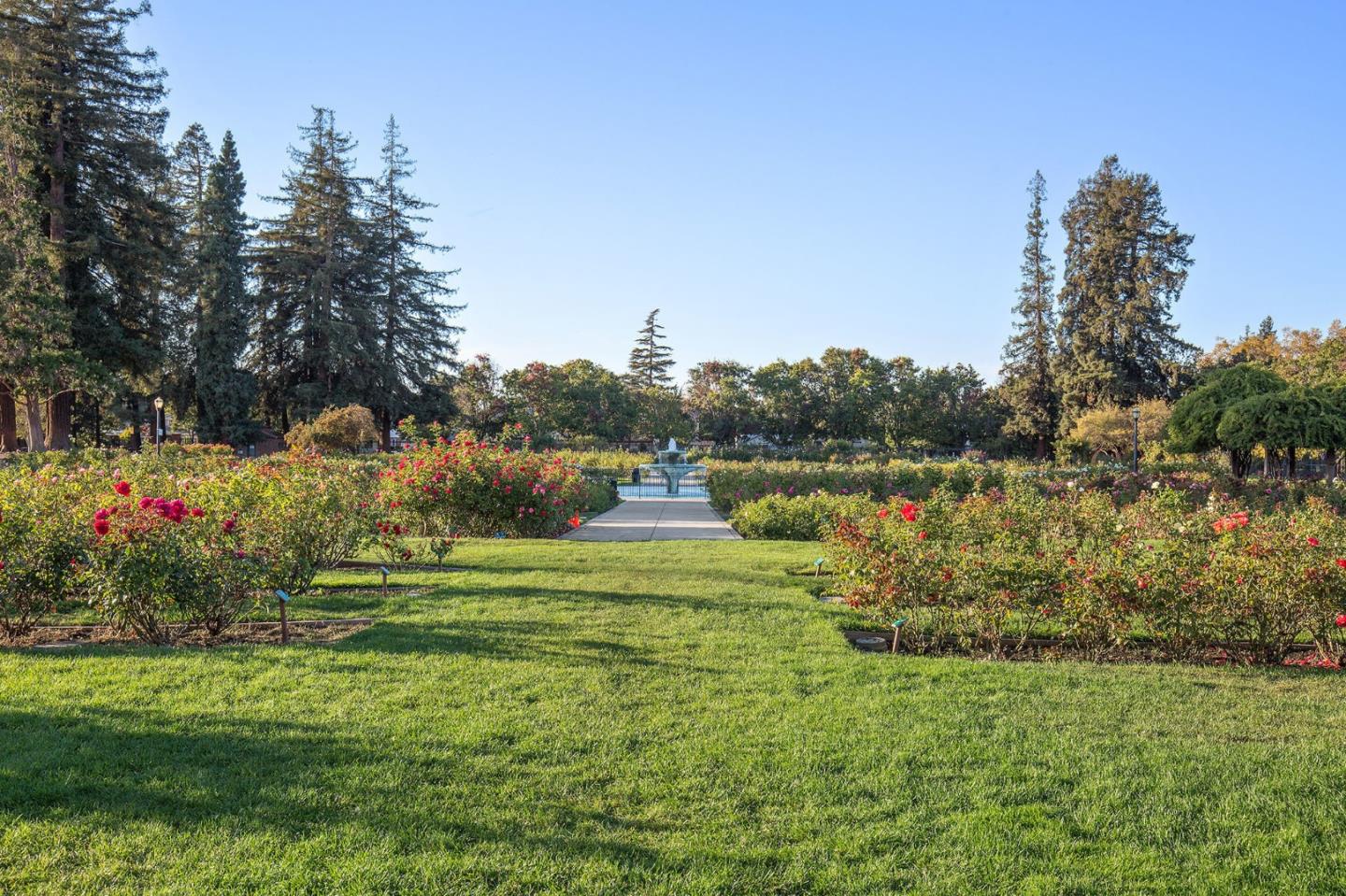 Detail Gallery Image 75 of 101 For 2177 Emory St, San Jose,  CA 95128 - 3 Beds | 2 Baths