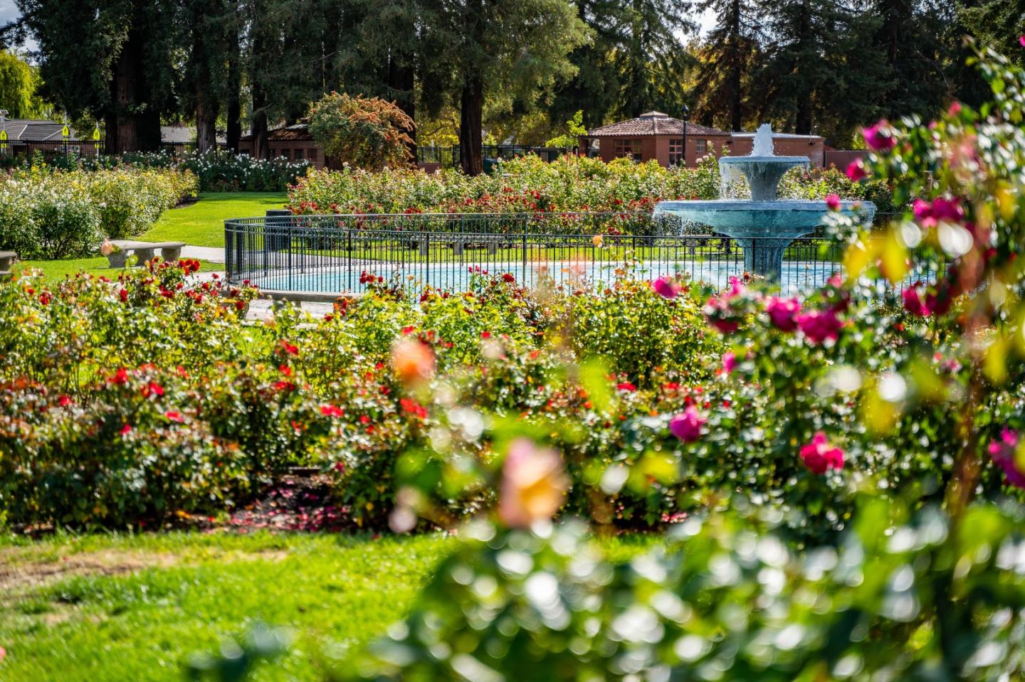 Detail Gallery Image 76 of 101 For 2177 Emory St, San Jose,  CA 95128 - 3 Beds | 2 Baths