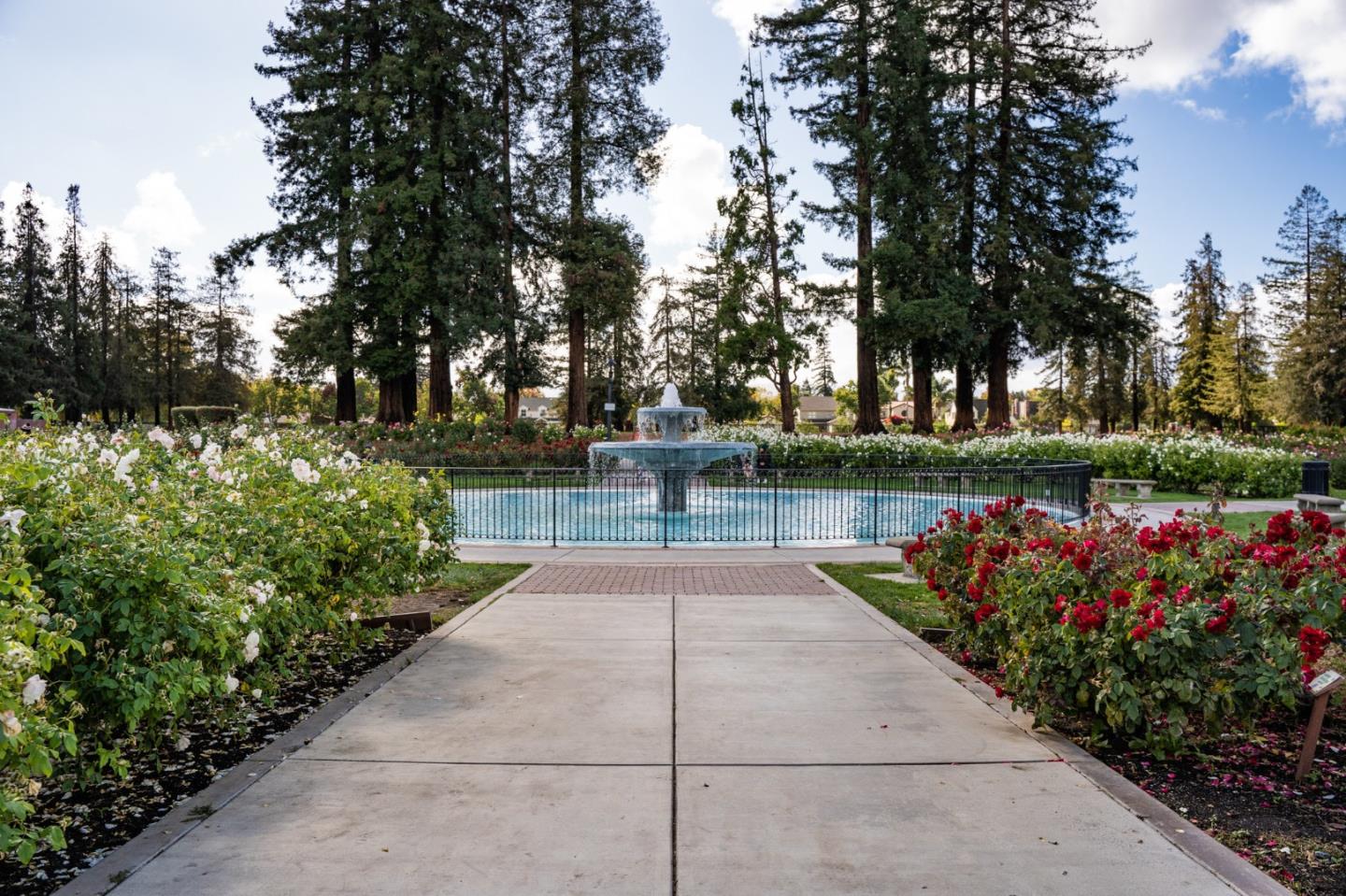 Detail Gallery Image 80 of 101 For 2177 Emory St, San Jose,  CA 95128 - 3 Beds | 2 Baths