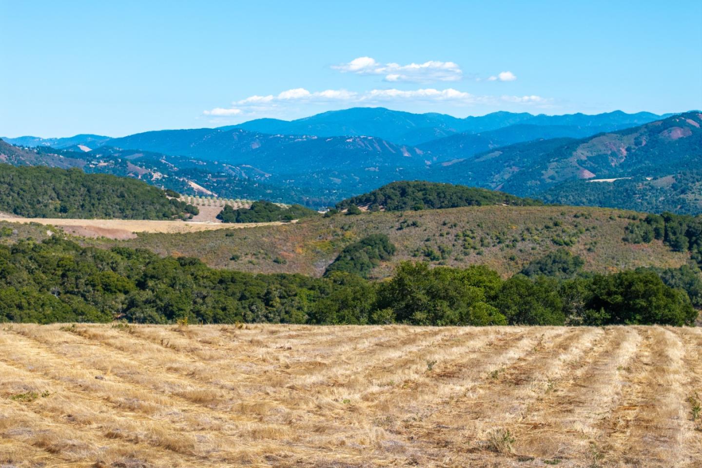 Detail Gallery Image 4 of 17 For 10190 Calle De Robles, Carmel,  CA 93923 - – Beds | – Baths