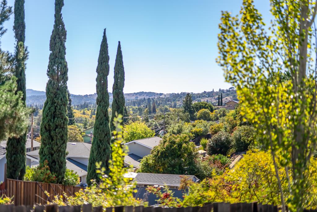 Detail Gallery Image 45 of 48 For 2951 Hannan Dr, Pleasant Hill,  CA 94523 - 3 Beds | 2 Baths