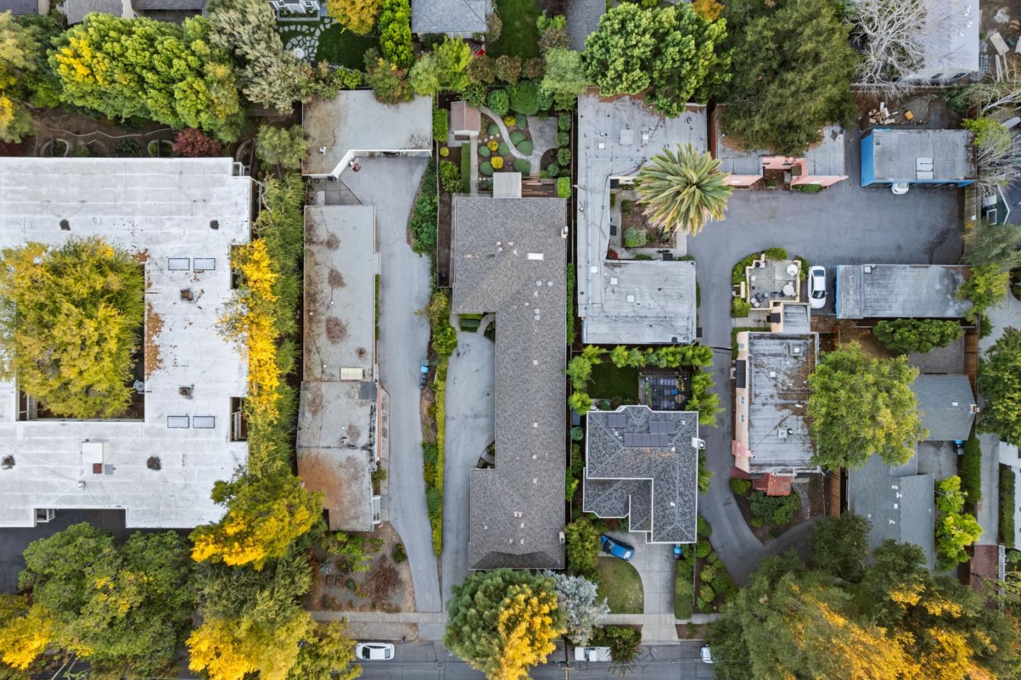 Detail Gallery Image 5 of 92 For 841 Partridge Ave, Menlo Park,  CA 94025 - – Beds | – Baths