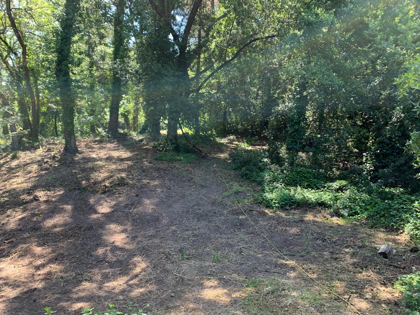 Detail Gallery Image 3 of 10 For 20406 Harvey Way, Los Gatos,  CA 95033 - – Beds | – Baths