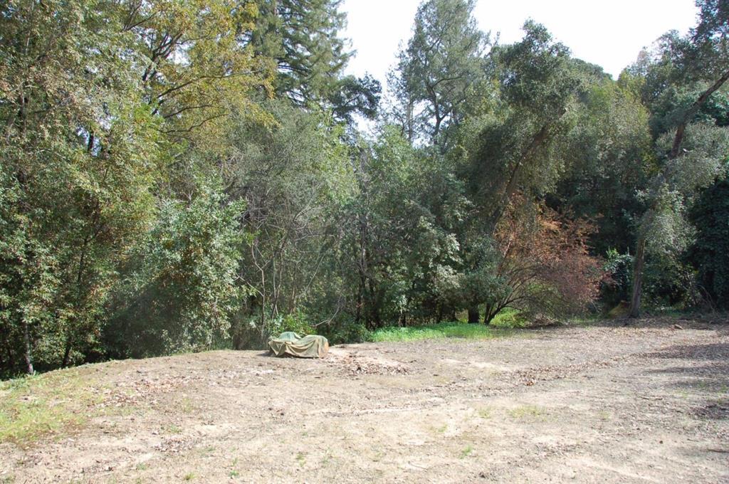 Detail Gallery Image 8 of 10 For 20406 Harvey Way, Los Gatos,  CA 95033 - – Beds | – Baths