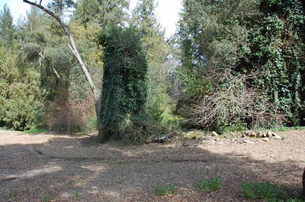 Detail Gallery Image 9 of 10 For 20406 Harvey Way, Los Gatos,  CA 95033 - – Beds | – Baths