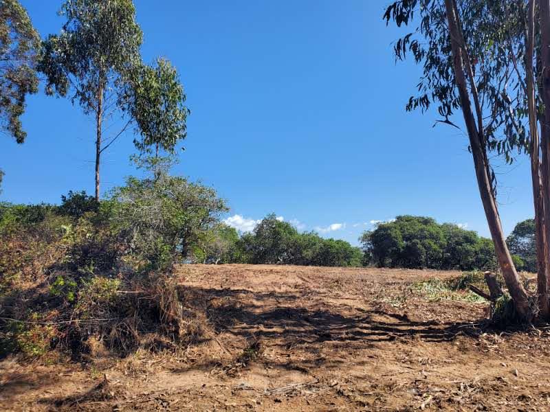 Detail Gallery Image 10 of 19 For 19705 Moonglow Rd, Salinas,  CA 93907 - – Beds | – Baths