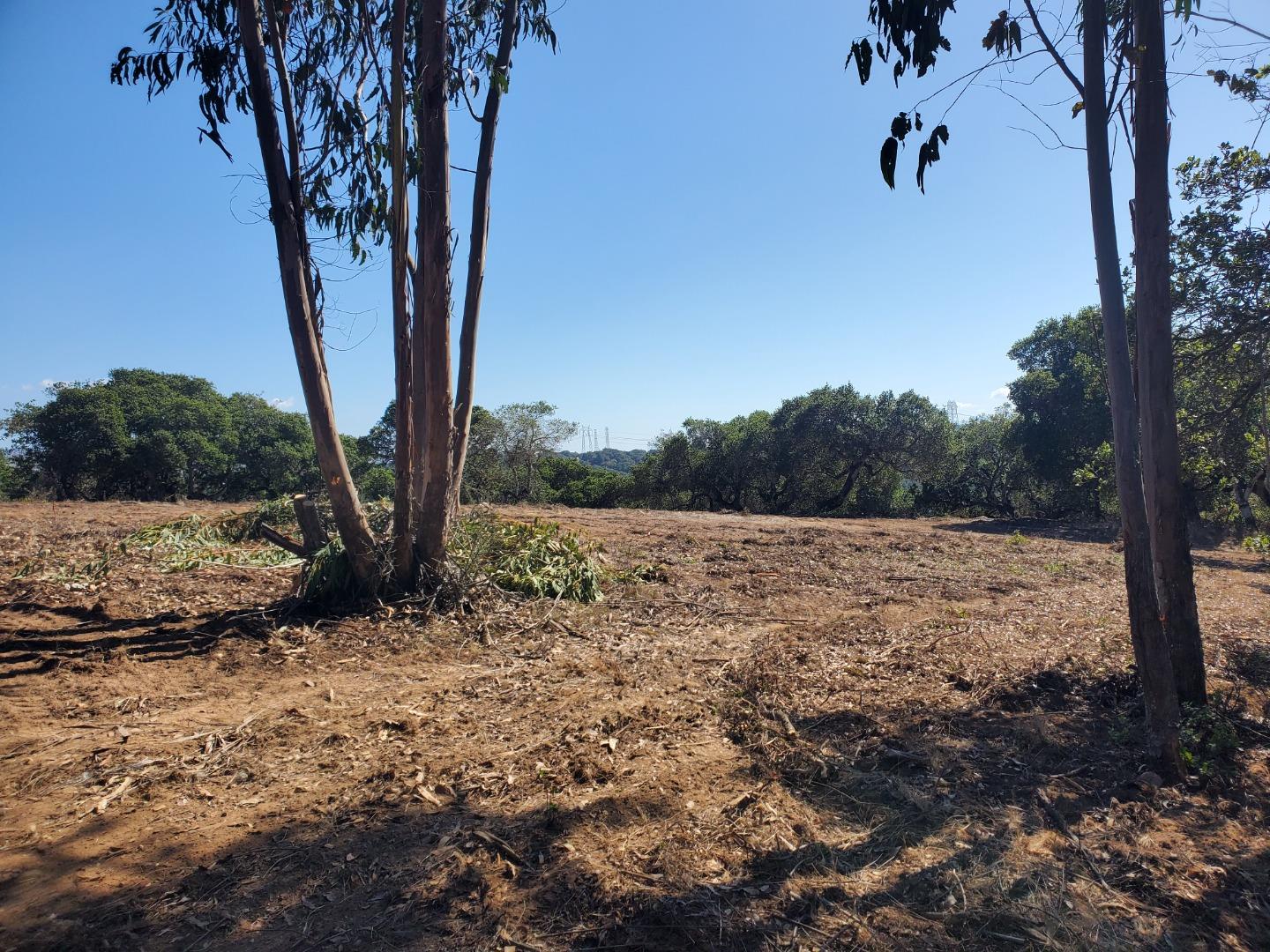 Detail Gallery Image 11 of 19 For 19705 Moonglow Rd, Salinas,  CA 93907 - – Beds | – Baths