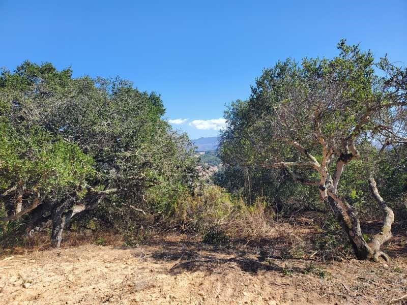 Detail Gallery Image 15 of 19 For 19705 Moonglow Rd, Salinas,  CA 93907 - – Beds | – Baths