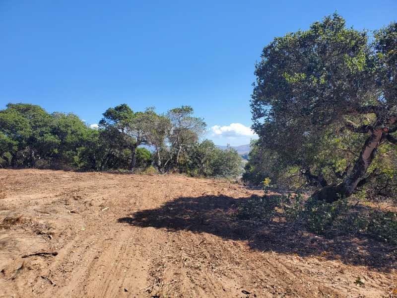 Detail Gallery Image 6 of 19 For 19705 Moonglow Rd, Salinas,  CA 93907 - – Beds | – Baths