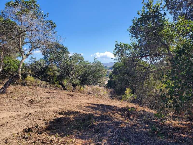 Detail Gallery Image 7 of 19 For 19705 Moonglow Rd, Salinas,  CA 93907 - – Beds | – Baths