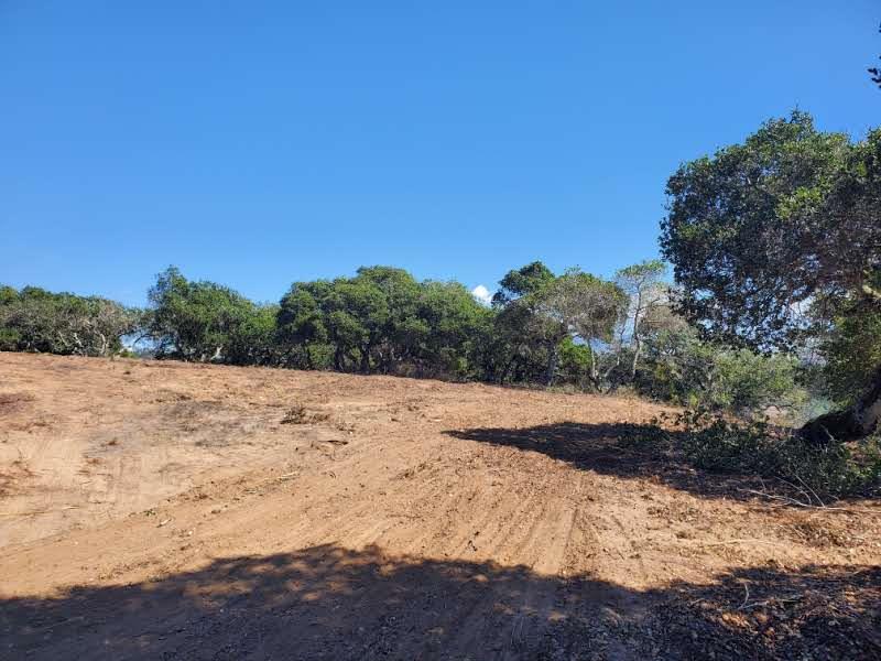 Detail Gallery Image 8 of 19 For 19705 Moonglow Rd, Salinas,  CA 93907 - – Beds | – Baths