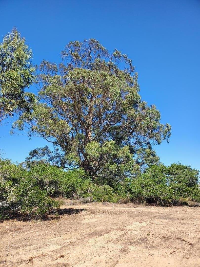 Detail Gallery Image 9 of 19 For 19705 Moonglow Rd, Salinas,  CA 93907 - – Beds | – Baths