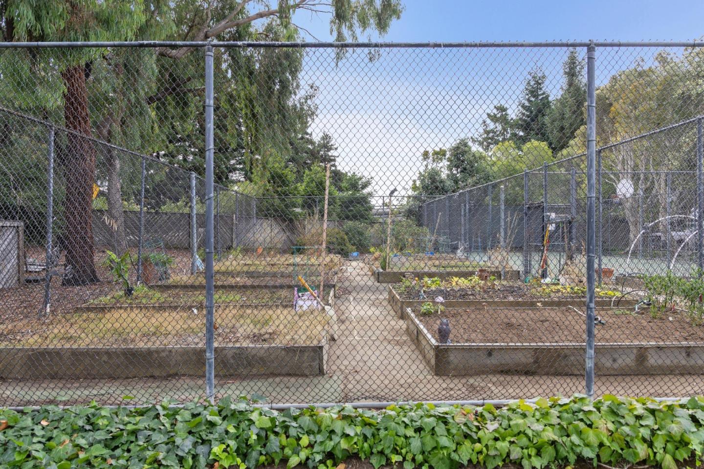 Detail Gallery Image 46 of 63 For 1016 Shoreline Dr, San Mateo,  CA 94404 - 3 Beds | 2 Baths