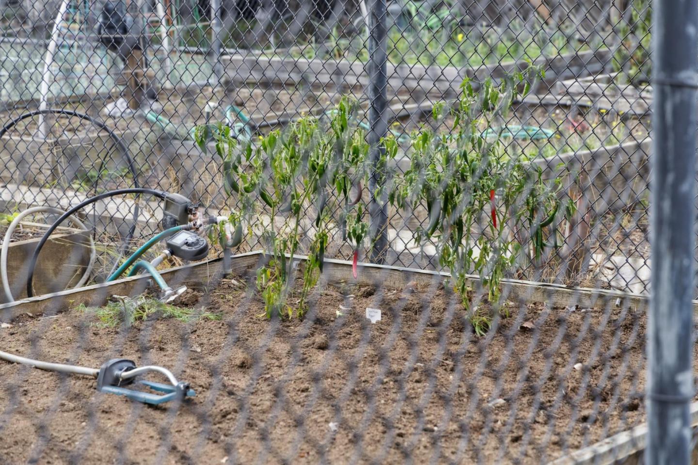 Detail Gallery Image 47 of 63 For 1016 Shoreline Dr, San Mateo,  CA 94404 - 3 Beds | 2 Baths