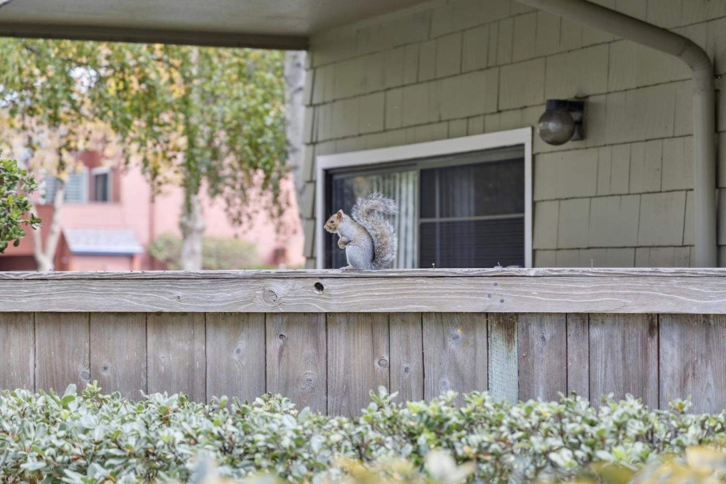 Detail Gallery Image 50 of 63 For 1016 Shoreline Dr, San Mateo,  CA 94404 - 3 Beds | 2 Baths