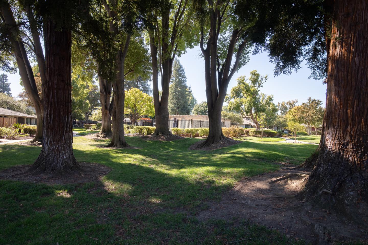 Detail Gallery Image 27 of 30 For 1133 Cooper River Dr, San Jose,  CA 95126 - 3 Beds | 1/1 Baths