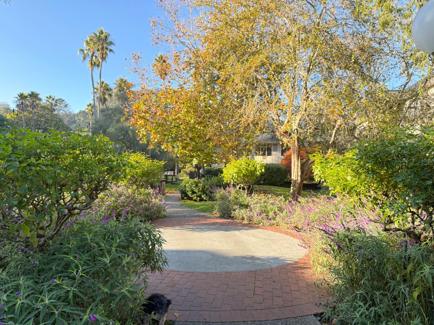Detail Gallery Image 15 of 17 For 5344 Shelter Creek Ln, San Bruno,  CA 94066 - 2 Beds | 2 Baths