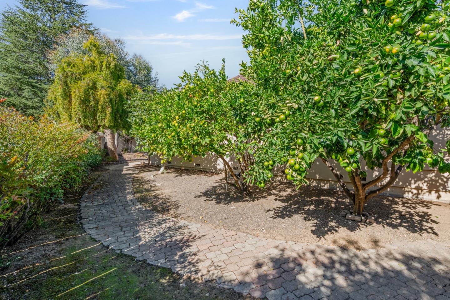 Detail Gallery Image 49 of 62 For 35 Rays Cir, Hollister,  CA 95023 - 4 Beds | 2/1 Baths