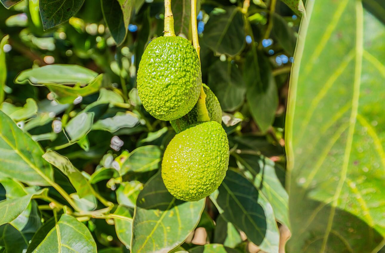 Detail Gallery Image 43 of 44 For 949 Nantucket Blvd #29,  Salinas,  CA 93906 - 3 Beds | 2/1 Baths