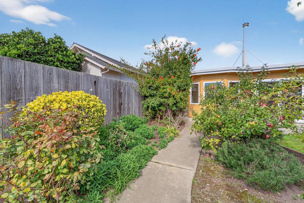 Detail Gallery Image 32 of 41 For 215 Younglove Ave, Santa Cruz,  CA 95060 - 3 Beds | 2 Baths