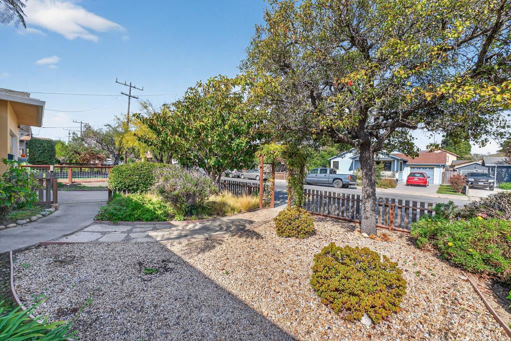 Detail Gallery Image 37 of 41 For 215 Younglove Ave, Santa Cruz,  CA 95060 - 3 Beds | 2 Baths